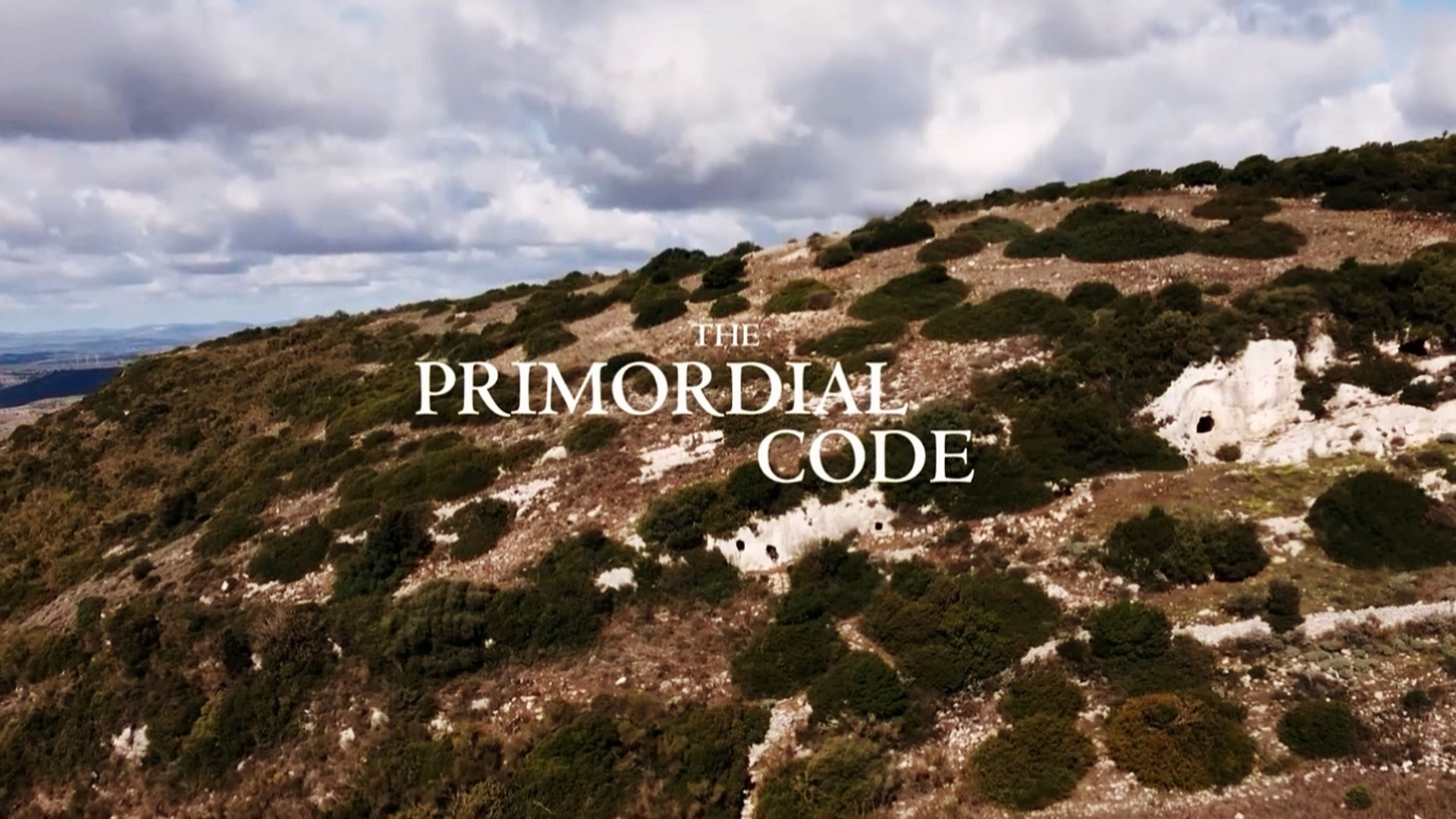 The Primordial Code | documentary by Marijn Poels