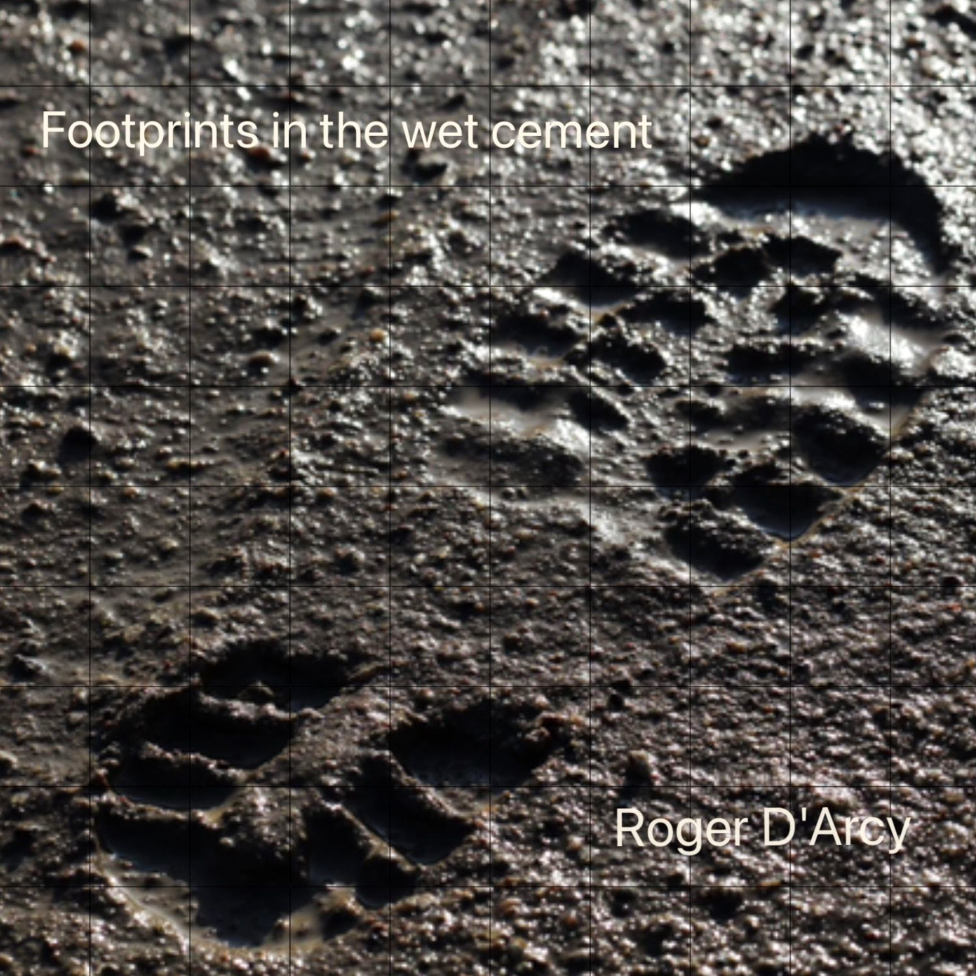 Roger D'Arcy - Footprints in the Wet Cement